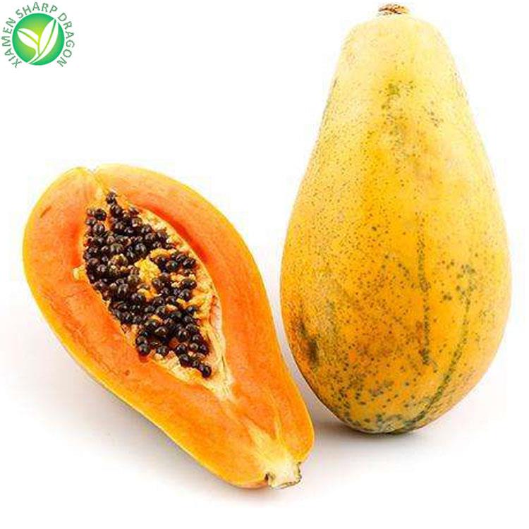 冷凍冷凍パパイヤフルーツ wholesale frozen papaya fruit