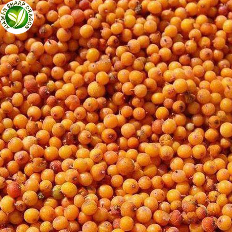 販売のための冷凍海クロウメモドキの果実 frozen sea buckthorn berries for sale