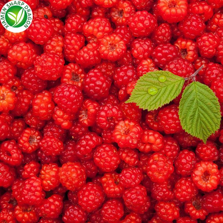 冷凍卸売IQFラズベリーバルク Frozen Wholesale IQF Raspberry In Bulk
