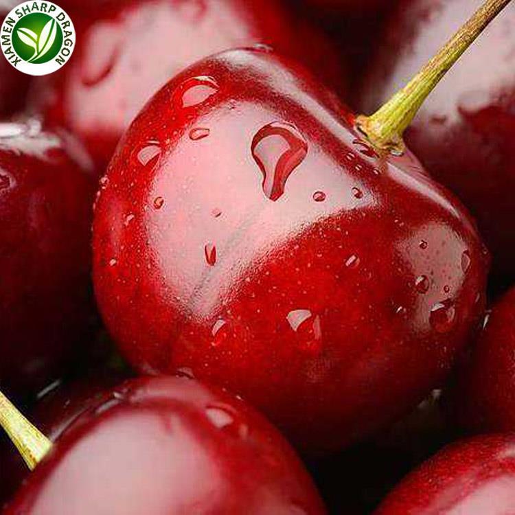 hot selling frozen cherry