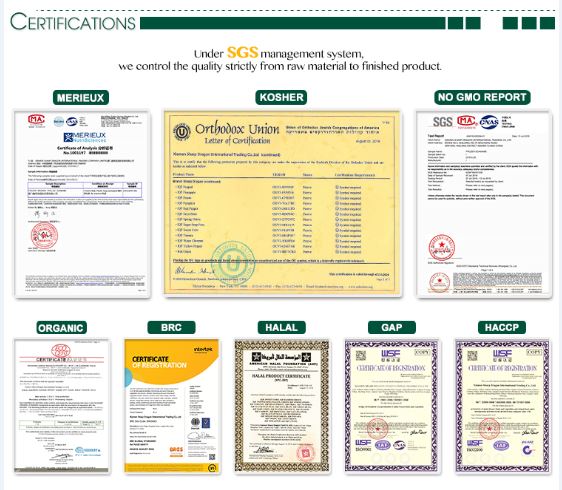 XMSDfood certificate support for frozen bayberry export XMSDfood certificate support for frozen bayberry export