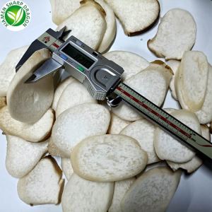 多用途の冷凍ヒラタケエリンギスライス